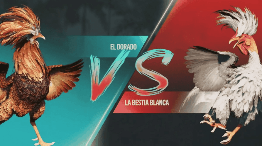199w Plataforma Jogos